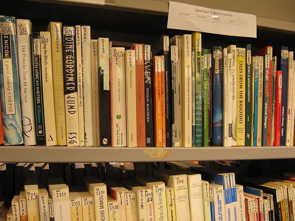 Nadine Gordimer - Library of the Afrika-Studiecentrum Leiden. Nadine Gordimer: Jump. Dominic Chipeta: The Pregnant Clouds. Coetzee &amp; Willemse: Iquabane labantu. Amadou Hampaté Bâ: Amkoullel, L'enf