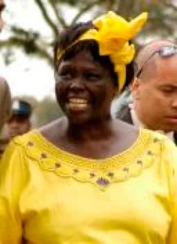 Wangari Muta Maathai - Wangari Maathai in Nairobi, Kenya