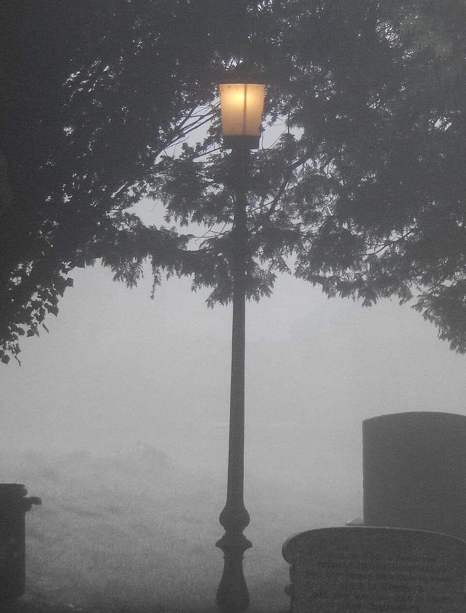 C. S. Lewis - Lamp in St Andrew's Churchyard Bebington, Wirral