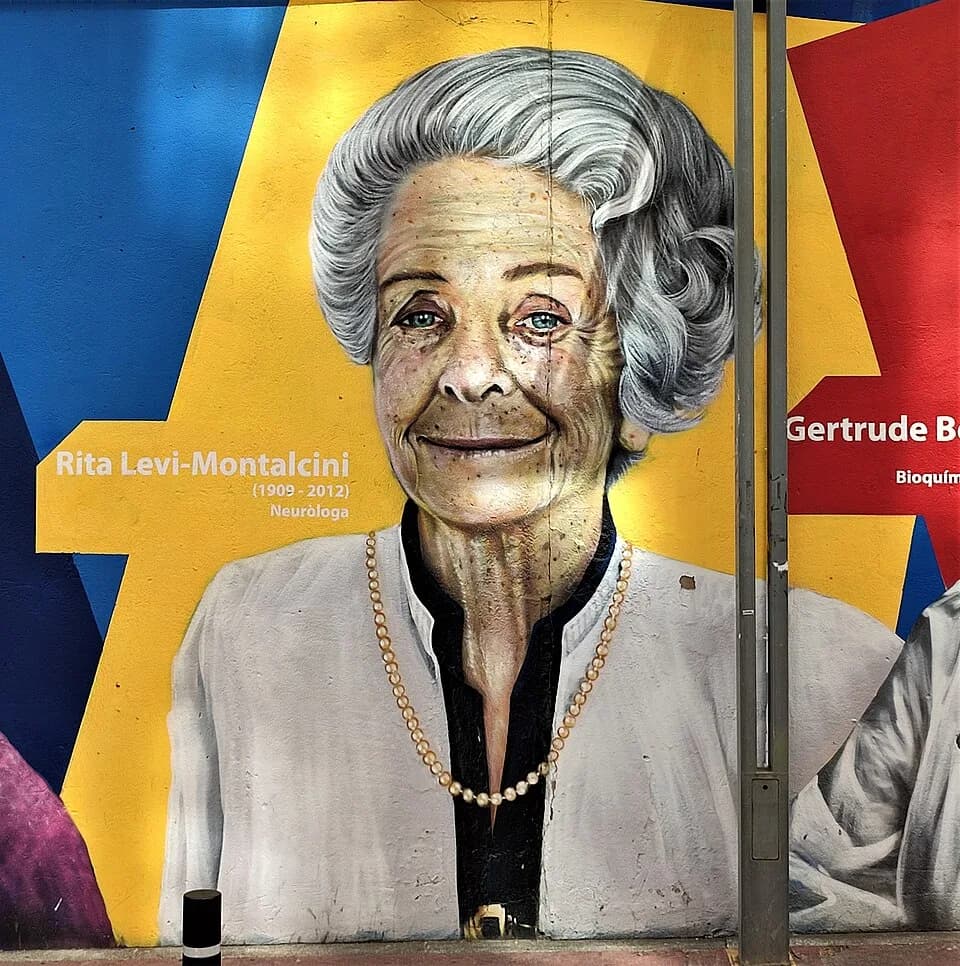 Rita Levi-Montalcini - Rita Levi-Montalcini representada al mural Pioneres, Hospital de la Vall d'Hebron