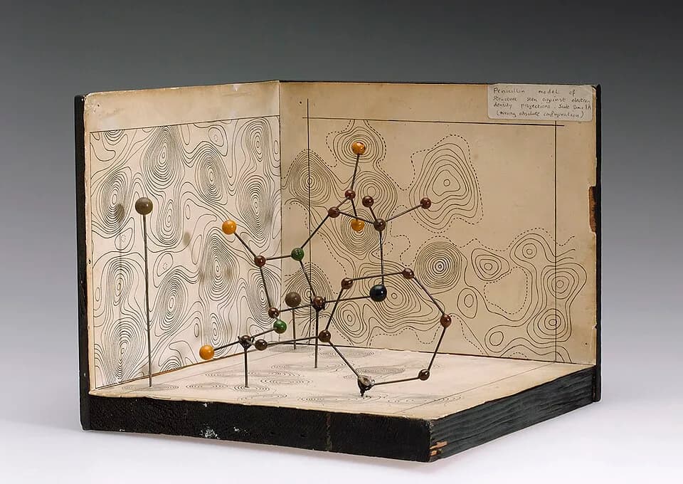 Dorothy Hodgkin - Molecular model of Penicillin by Dorothy Hodgkin, c.1945. Front three quarter. Graduated grey background.
