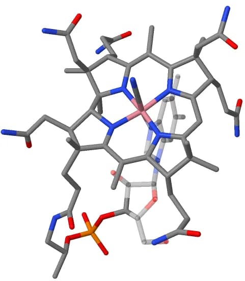 Dorothy Hodgkin - Structure generated with Jmol 14.30.2 using CIF data for Vitamin B12 hydrate exported from the Cambridge Structural Database (VITAMB, CCDC 1284686; https://www.ccdc.cam.ac.uk/structu