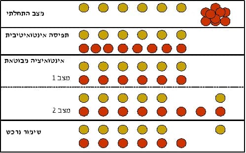 Jean Piaget - Conservation of number in children by Jean Piaget.