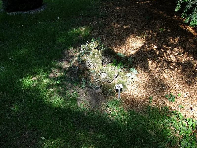 Jean Piaget - Grab von Jean William und Valentine Piaget auf dem Friedhof Cimetière des Rois in Genf