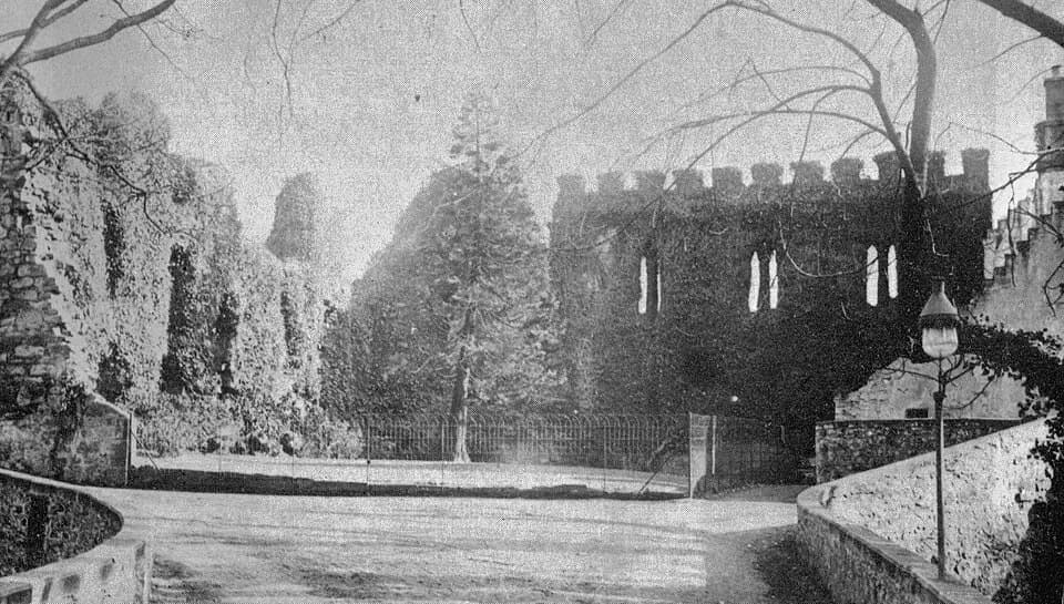 David Livingstone - Kerelaw Castle, David Livingstone's Laburnum Tree, Stevenston, Ayrshire, Scotland.