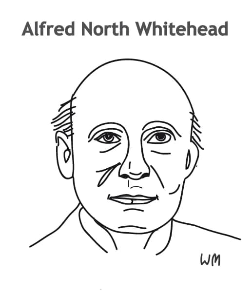 Alfred North Whitehead - Das Whitehead typisierende Gesicht