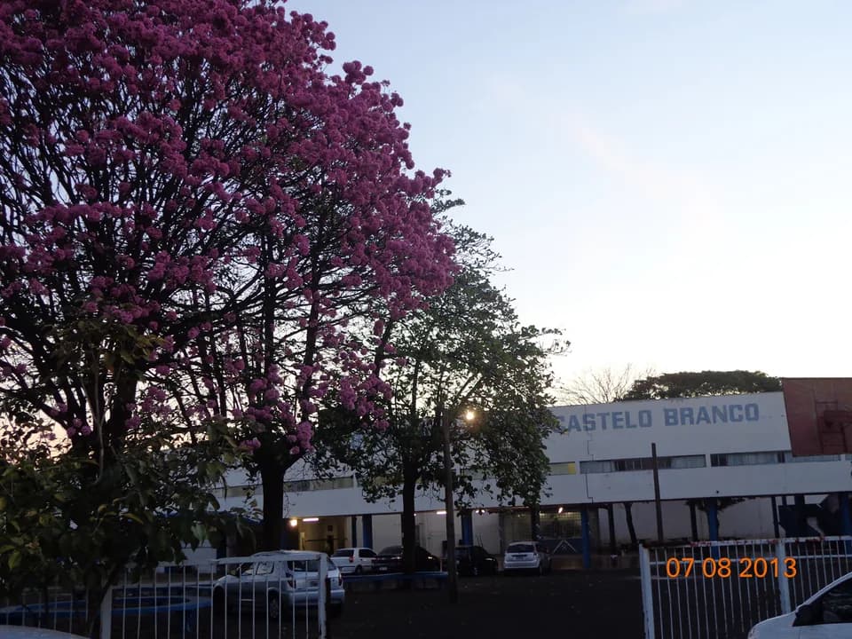 Oscar Niemeyer - Foto tirada pelo vice-diretor da Escola na ocasião do "Dia D", em 07 de agosto de 2013