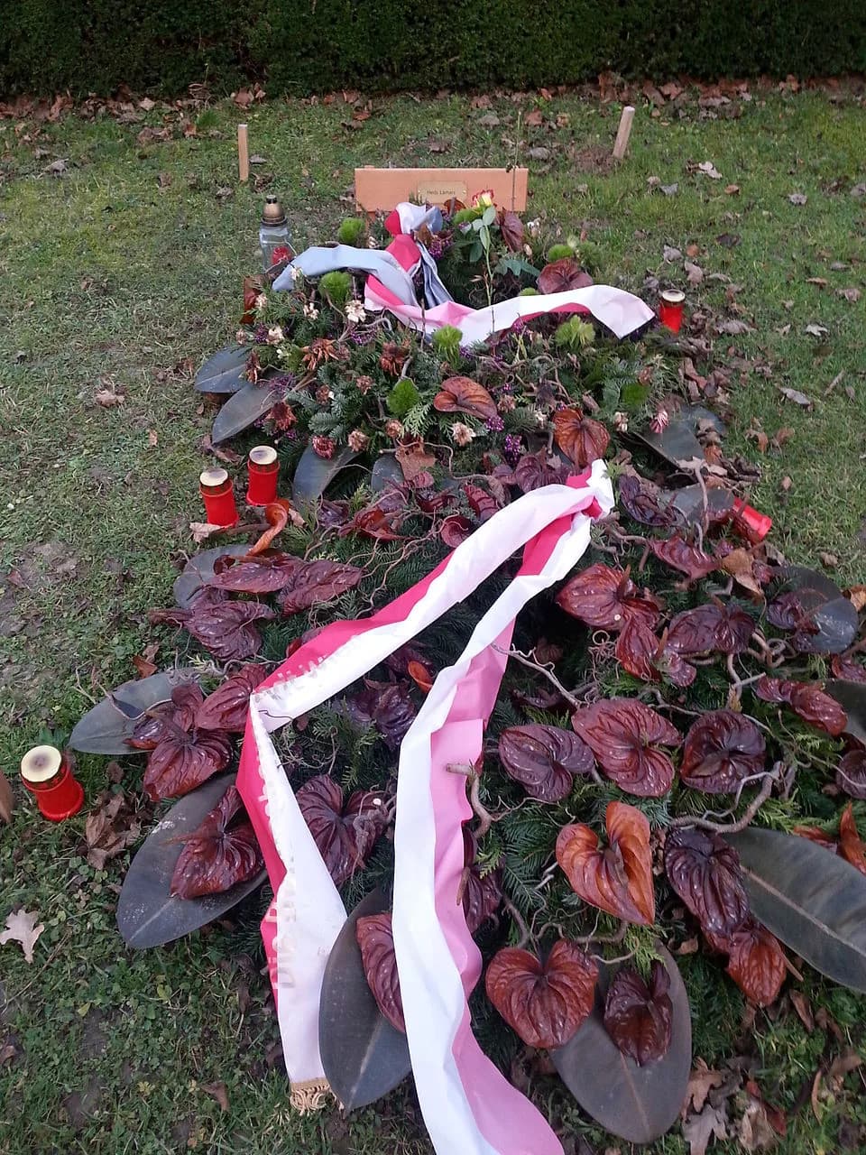 Hedy Lamarr - Grab von Hedy Lamarr auf dem Wiener Zentralfriedhof, Gruppe 33 G, Grab Nr. 80 (Dez. 2014)
