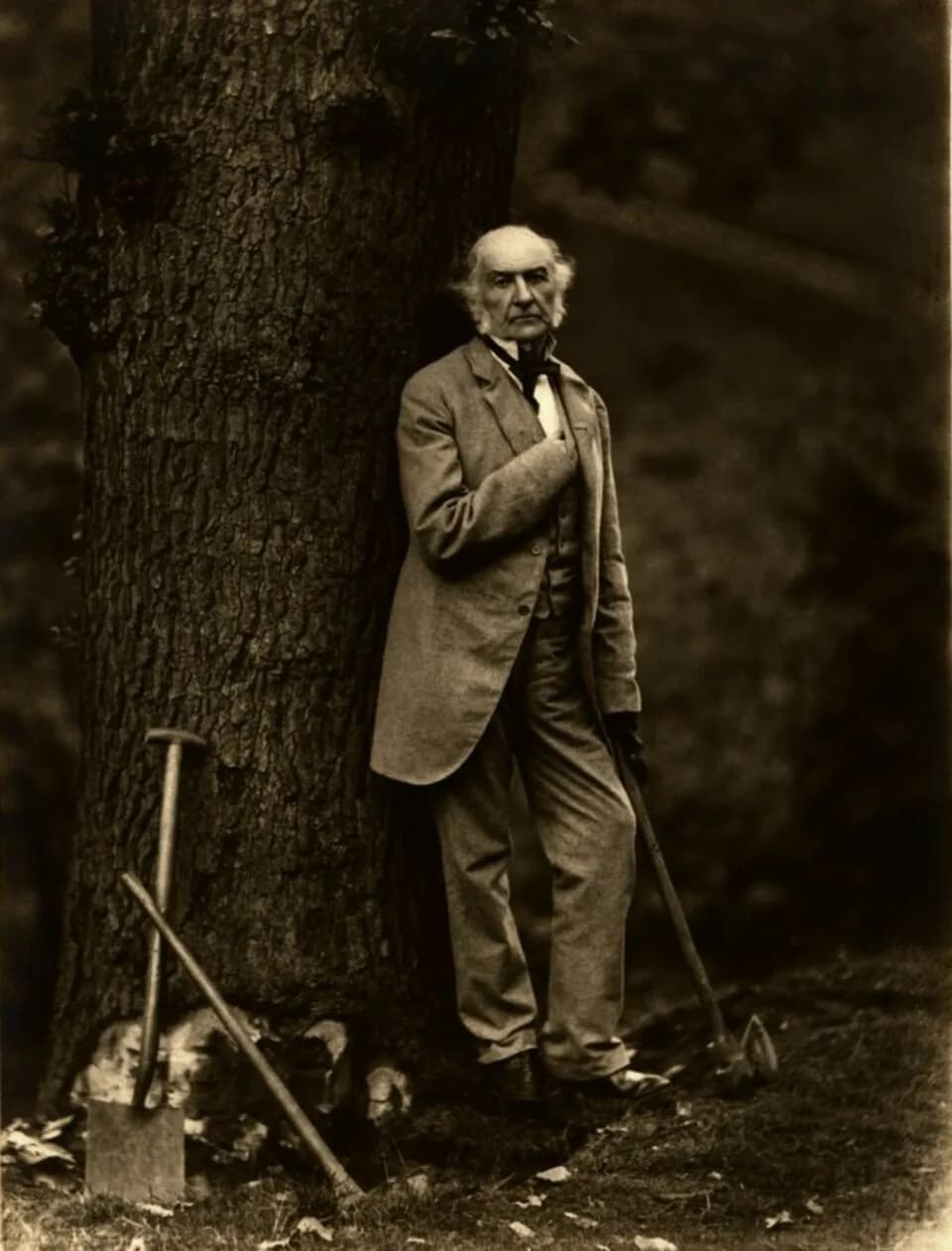 William Ewart Gladstone - Informal portrait of William Ewart Gladstone (1809-1898)