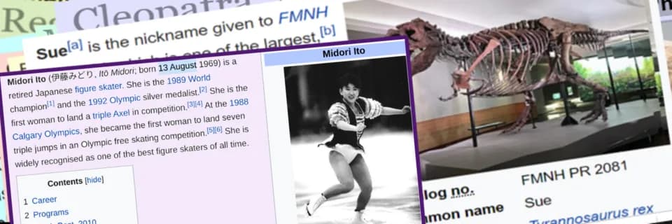 Maryam Mirzakhani - Maryam M Fields medal 13 August twitter banner