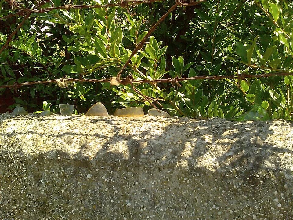 Eugenio Montale - ... a sun-blazed garden wall ... with jagged glass set along its rim.