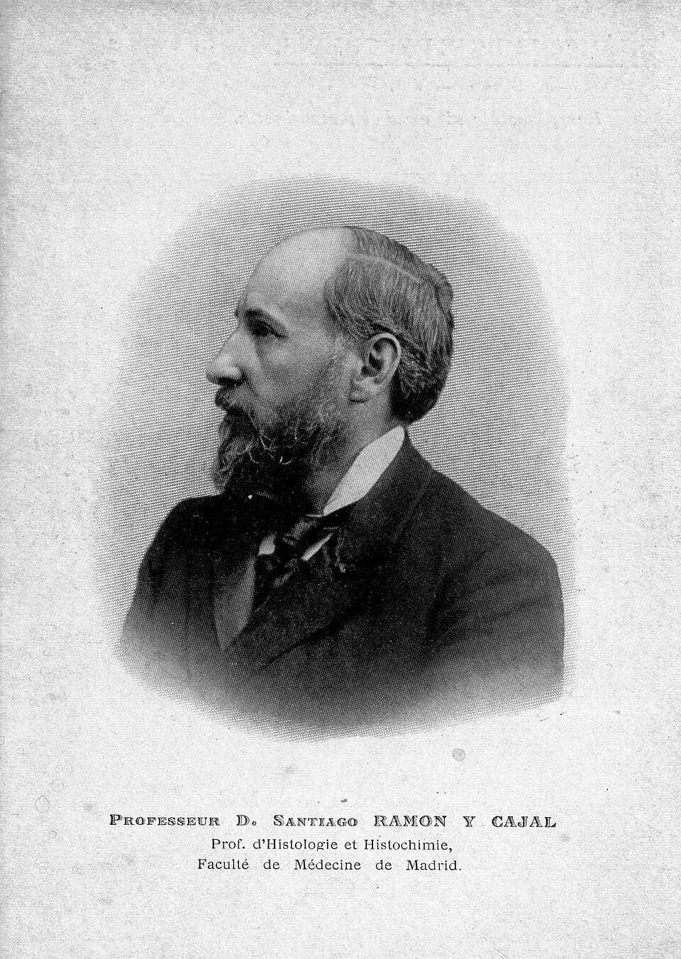 Santiago Ramón y Cajal - Foto di D. Santiago Ramon Y Cajal (1852-1934), docente di Istologia e Istochimica presso la facoltà di Medicina di Madrid.