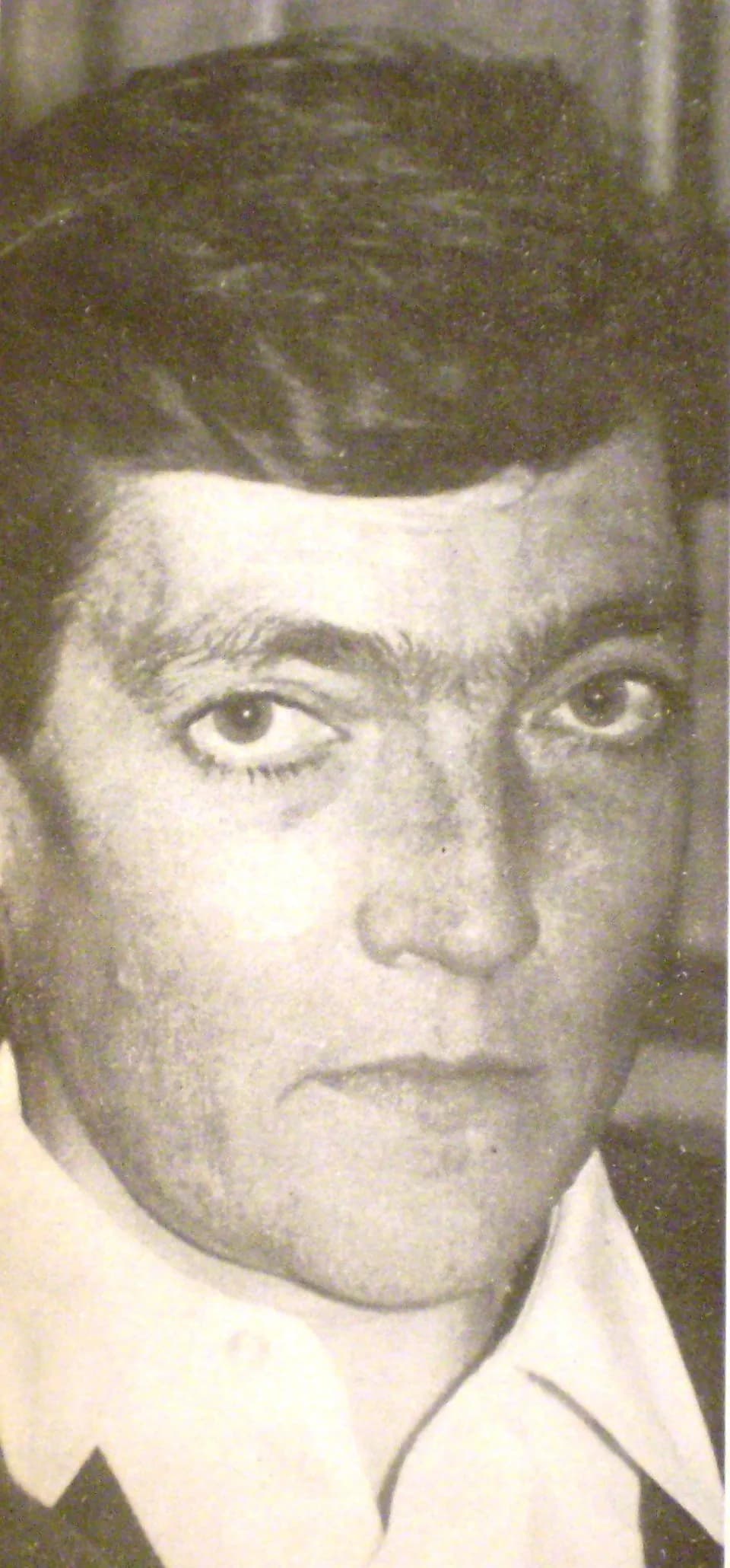 Julio Cortázar - Julio Cortázar