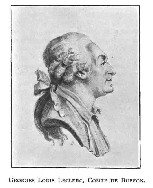 Georges-Louis Leclerc, Comte de Buffon - Comte de Buffon, profile