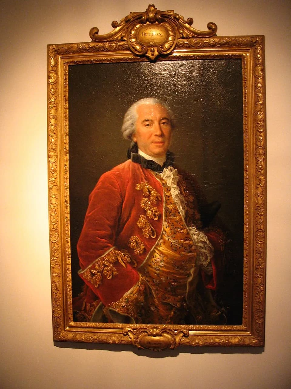Georges-Louis Leclerc, Comte de Buffon - Portrait of Buffon