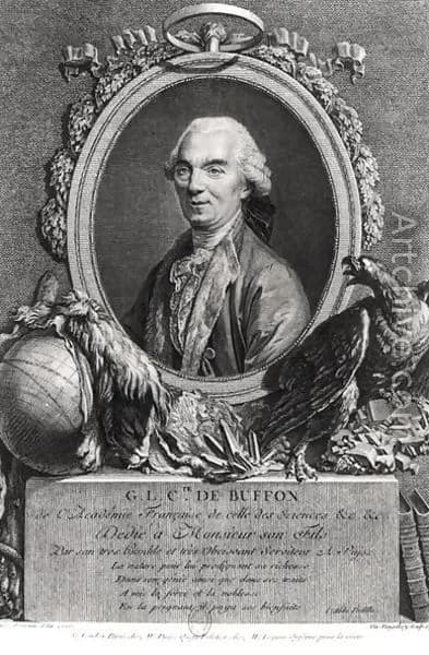 Georges-Louis Leclerc, Comte de Buffon - Comte de Buffon in 1777