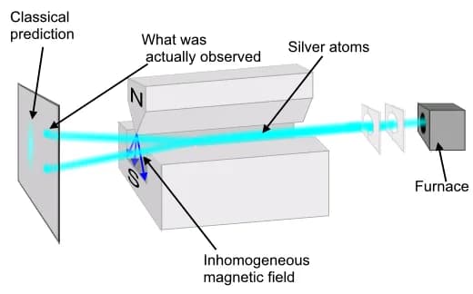 Otto Stern - Stern-Gerlach experiment.PNG
