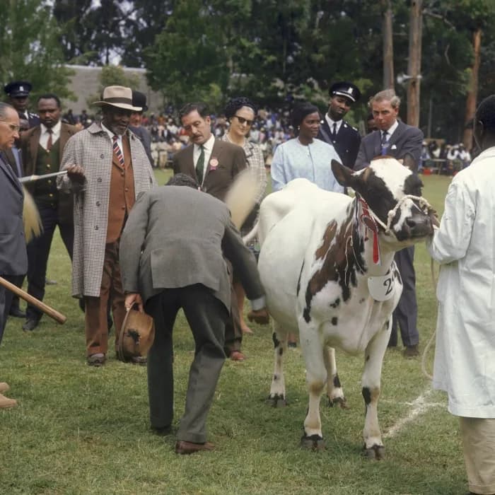 Jomo Kenyatta - COLLECTIE TROPENMUSEUM President Jomo Kenyatta kijkt toe bij de keuring van stamboekvee tijdens de Eldoret Agricultural Show TMnr 20038663.jpg