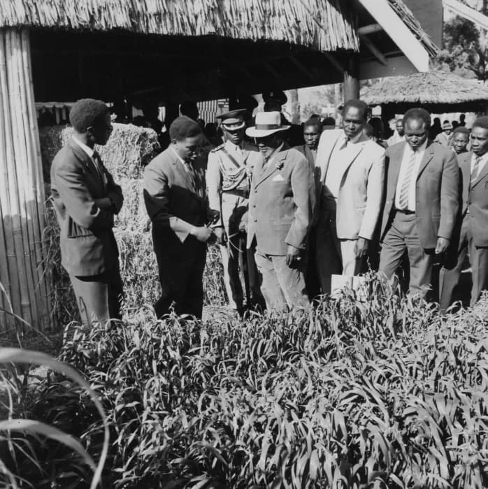 Jomo Kenyatta - De Stichting Nederlandse Vrijwilligers (SNV) toont hier een proefopstelling.