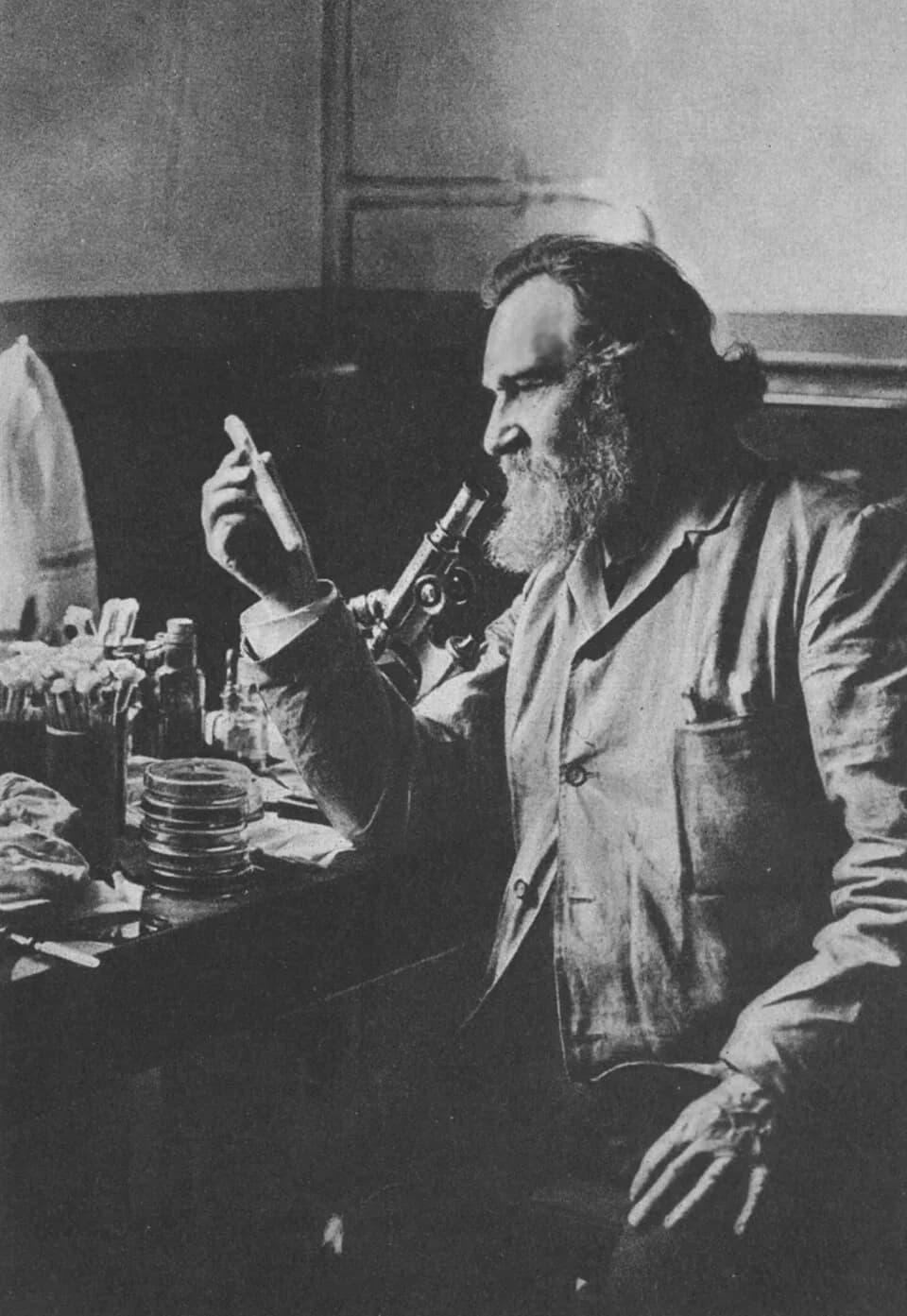 Élie Metchnikoff - Elias Metschnikow