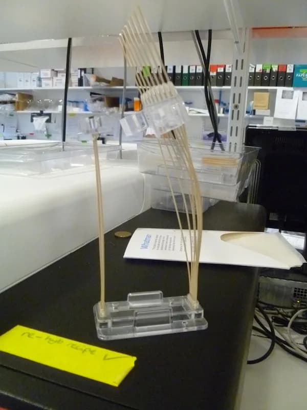 Frederick Sanger - cBot single stranded DNA amplifier flow cell