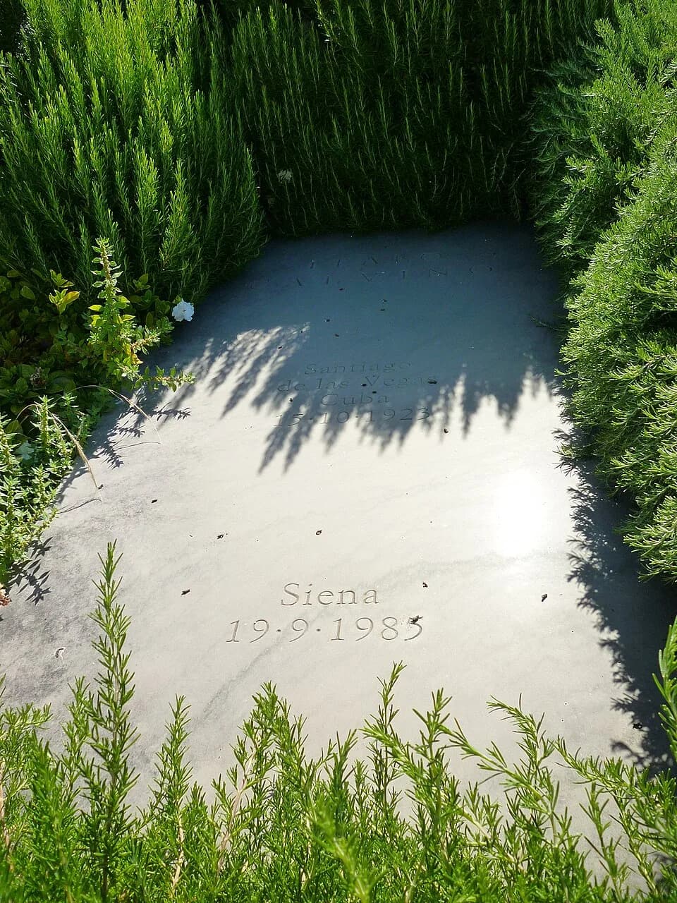 Italo Calvino - Italo Calvino's grave in the cemetery at Castiglione della Pescaia