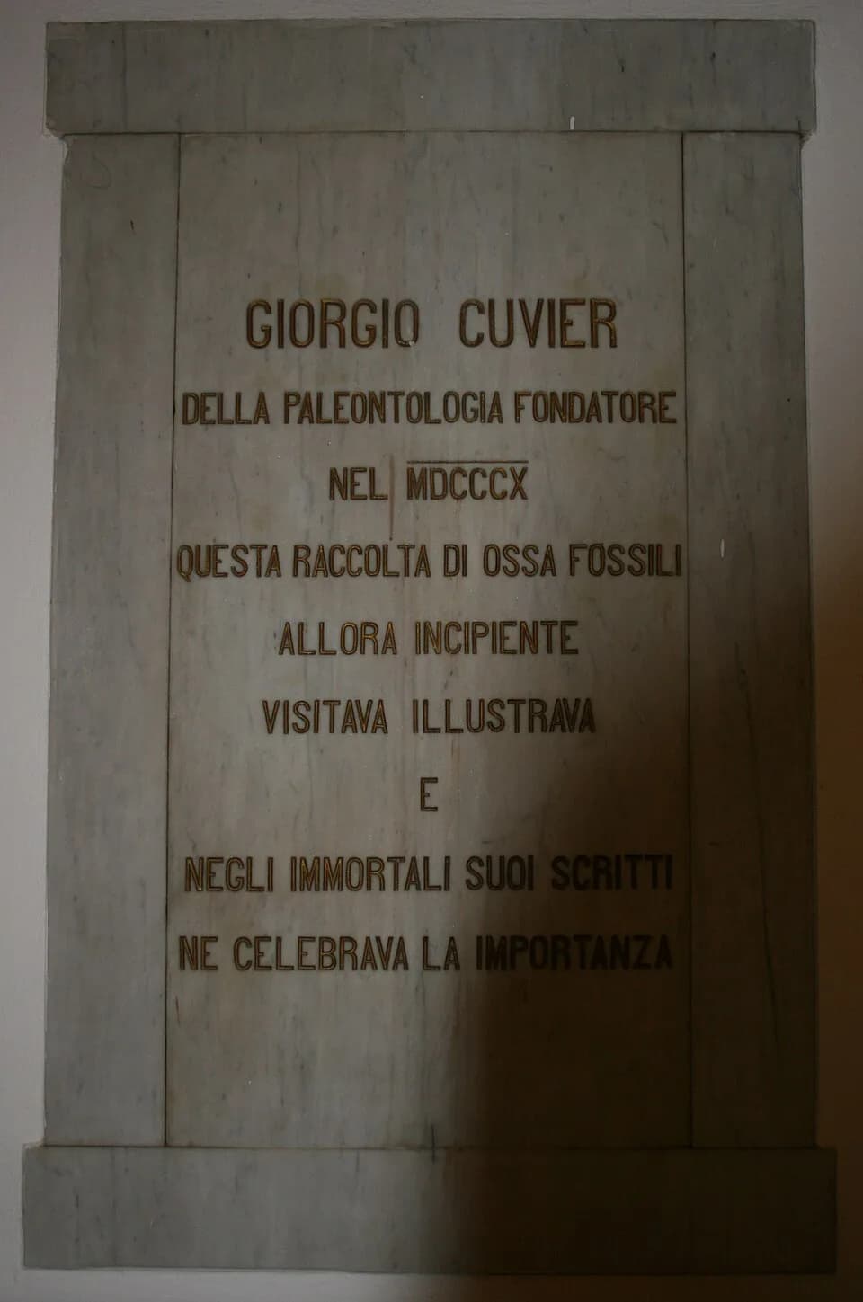 Georges Cuvier - Targa a Giorgio Cuvier all'ingresso del museo di Peleontologia Montevarchi.