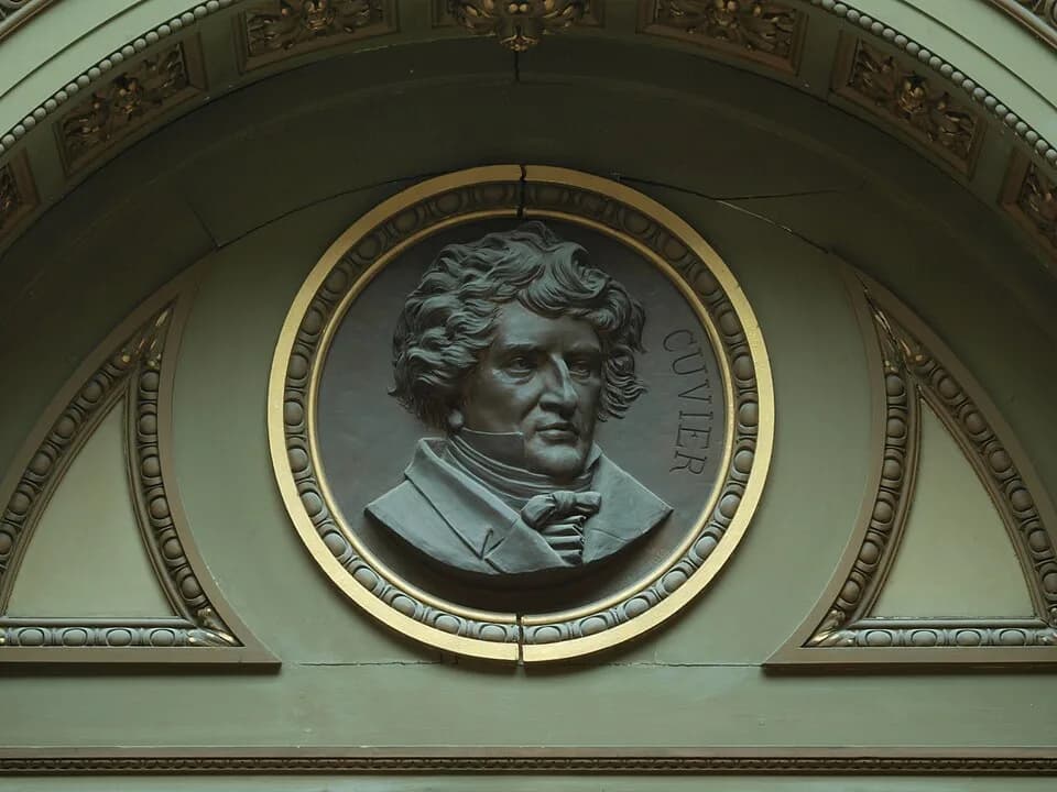 Georges Cuvier - Cuvier, Teyler museum.