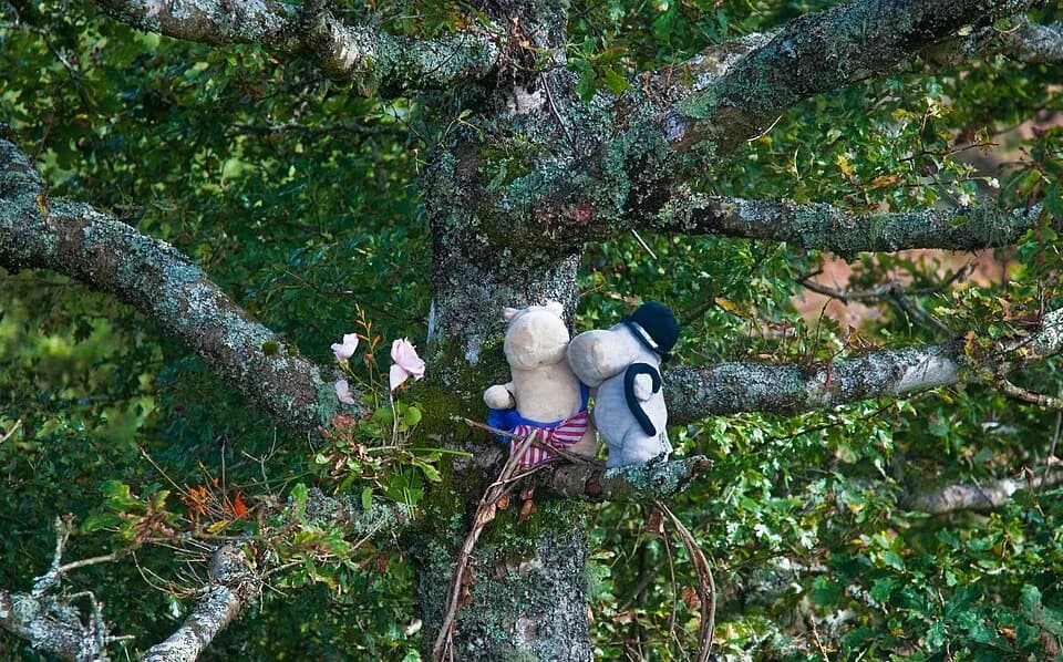 Tove Jansson - The Travelling Moomins with Trudi's flowers in Felicity's Moominmama Tree, Dartmoor, 2 Oct. 2010