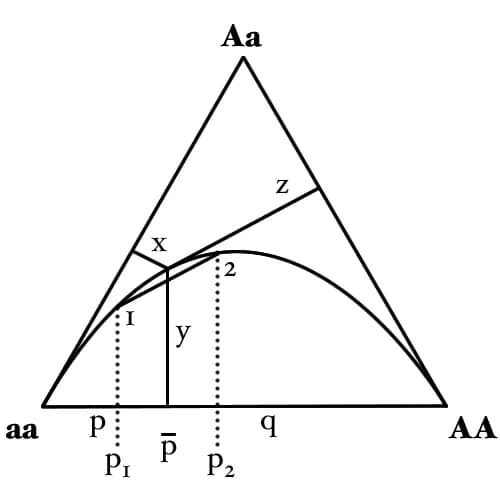 G.H. Hardy - De Finetti diagram