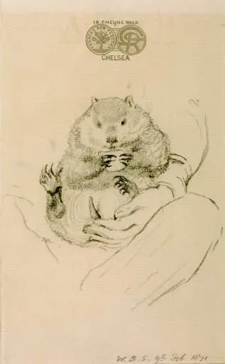 Dante Gabriel Rossetti - Rossetti's Wombat Seated in his Master's Lap (William Bell Scott).jpg