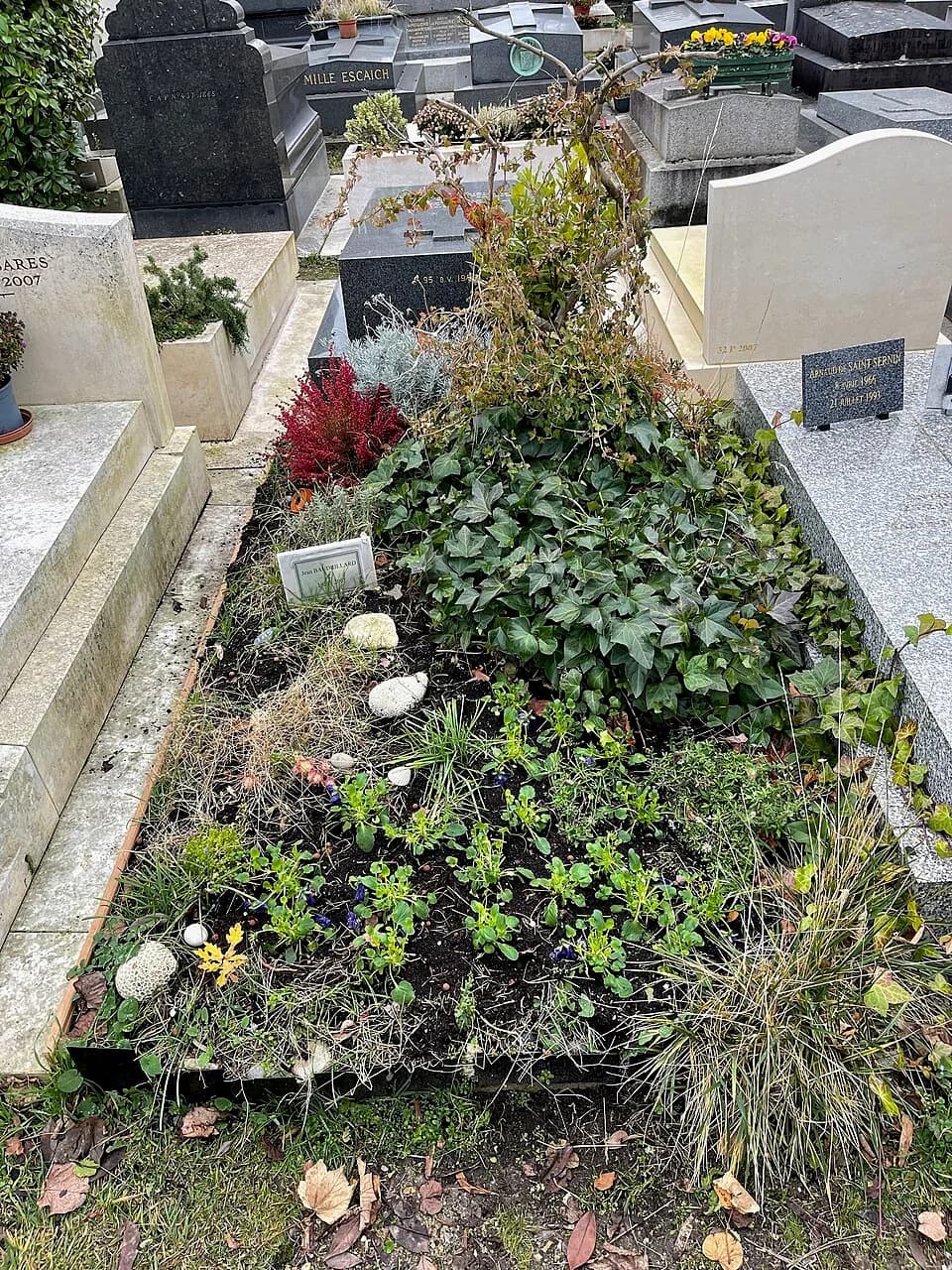 Jean Baudrillard - Grave of Jean BAUDRILLARD with flowers and vines planted and growing over it in Montparnasse Cemetery, Paris, France.