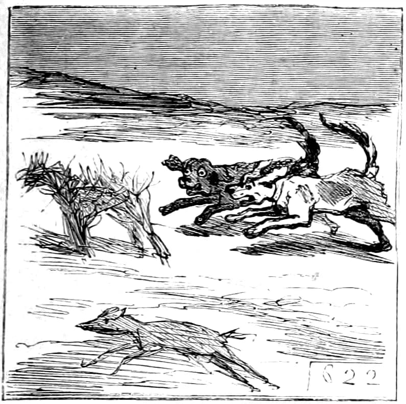 Gustave Courbet - „Chiens de chasse n’ayant pas l’habitude du dessin de M. Courbet se précipitant sur un buisson qu’ils confondent avec un chevreuil.“Cette caricature fait référence au tableau La Curé