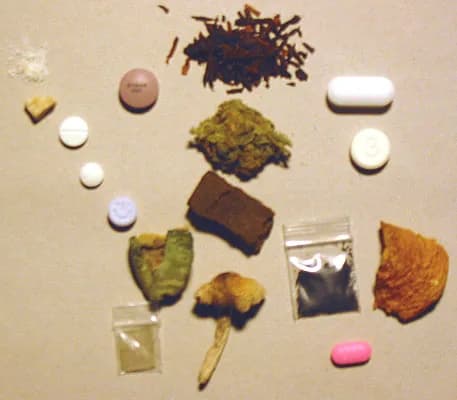 Albert Hofmann - An arrangement of psychoactive drugs including (counter-clockwise from top left): 
cocaine
Crack cocaine
methylphenidate (Ritalin)
ephedrine
MDMA (Ecstasy - lavender pill with smile)
