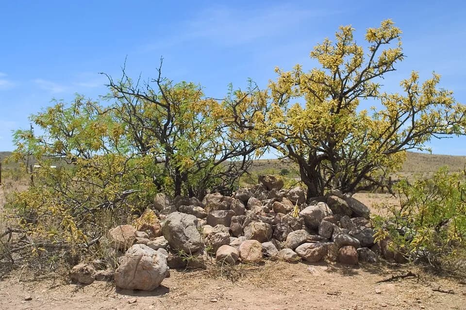 Gerónimo Gerónimo - This pile of stones erected by members of the U.S. Army marks the site of Geronimo's surrender on September 4, 1886. Located in en:Skeleton Canyon-(en:Peloncillo Mountains (Hidalgo