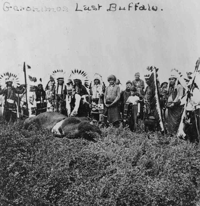 Gerónimo Gerónimo - Geronimo standing over dead buffalo, with Native men and boys in ceremonial dress standing behind him, Fort Sill, Oklahoma.