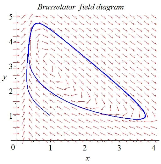 Ilya Prigogine - Brusselator field plot