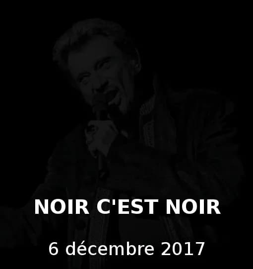 Johnny Hallyday - Johnny Hallyday (15 juin 1943 - 6 décembre 2017). Noir c'est noir (1966)