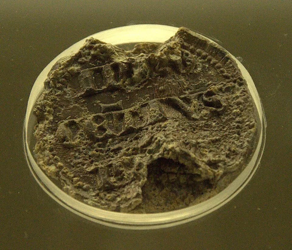 Innocent VI - Bul van Paus Innocentius VI in het Provinciaal Archeologisch Museum te Ename, België