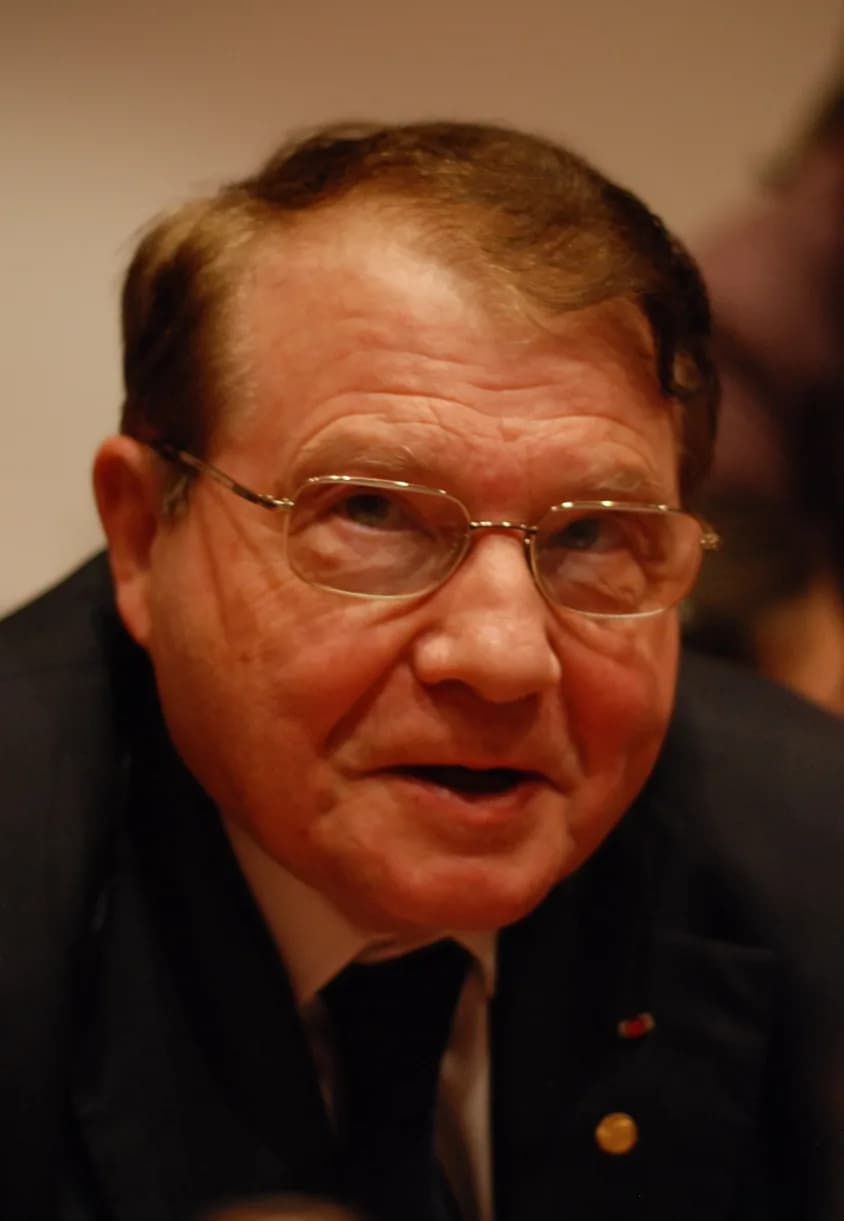 Luc Montagnier - Luc Montagnier, Nobel Prize Laureate for Physiology or Medicine 2008, at a press conference at the Karolinska in Solna