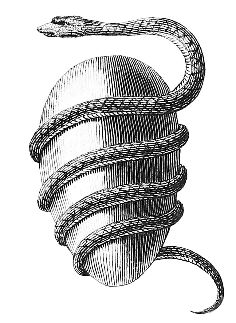 Robert Graves - The Orphic Egg. "Ophis et ovum mundanum Tyriorum". Snake and world egg of the inhabitants of Tyre. Used by Turku Society for the Spiritual Sciences.