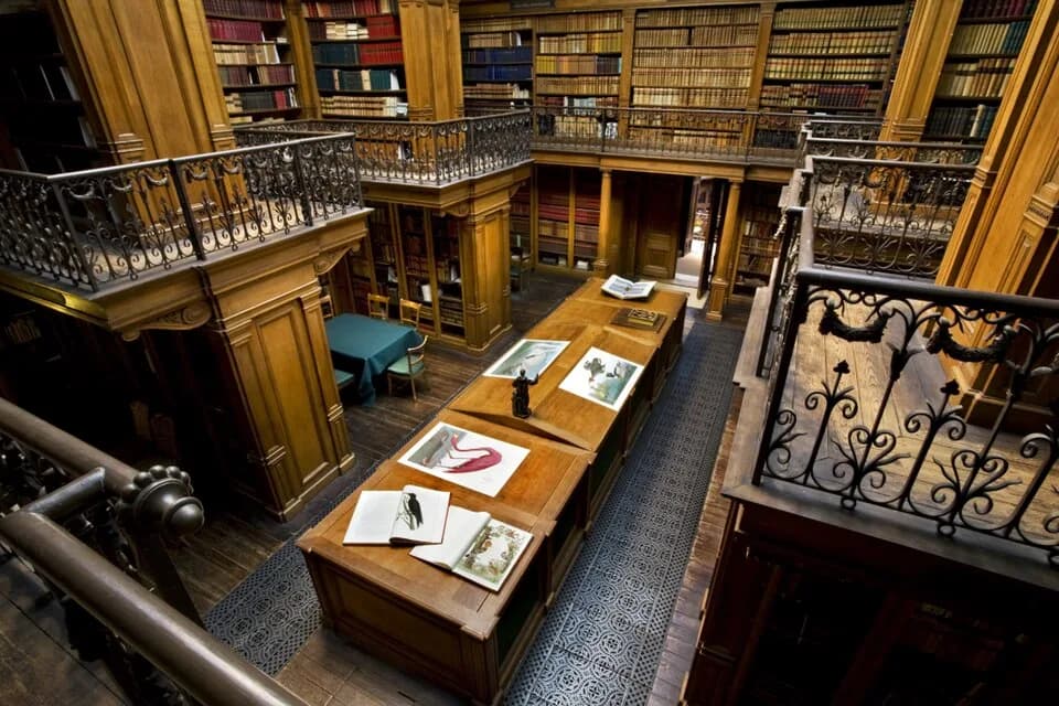 John James Audubon - The Library of Teylers Museum (1885), Haarlem, The Netherlands