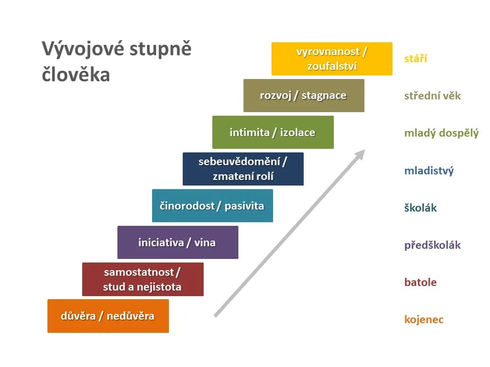 Erik Erikson - Erikson's stages of psychosocial development