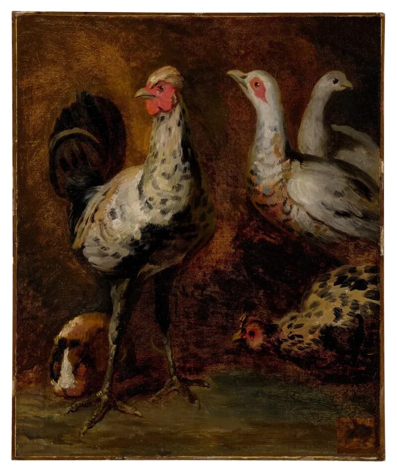 Théodore Géricault - A rooster, three chickens, and a guinea pig.jpg