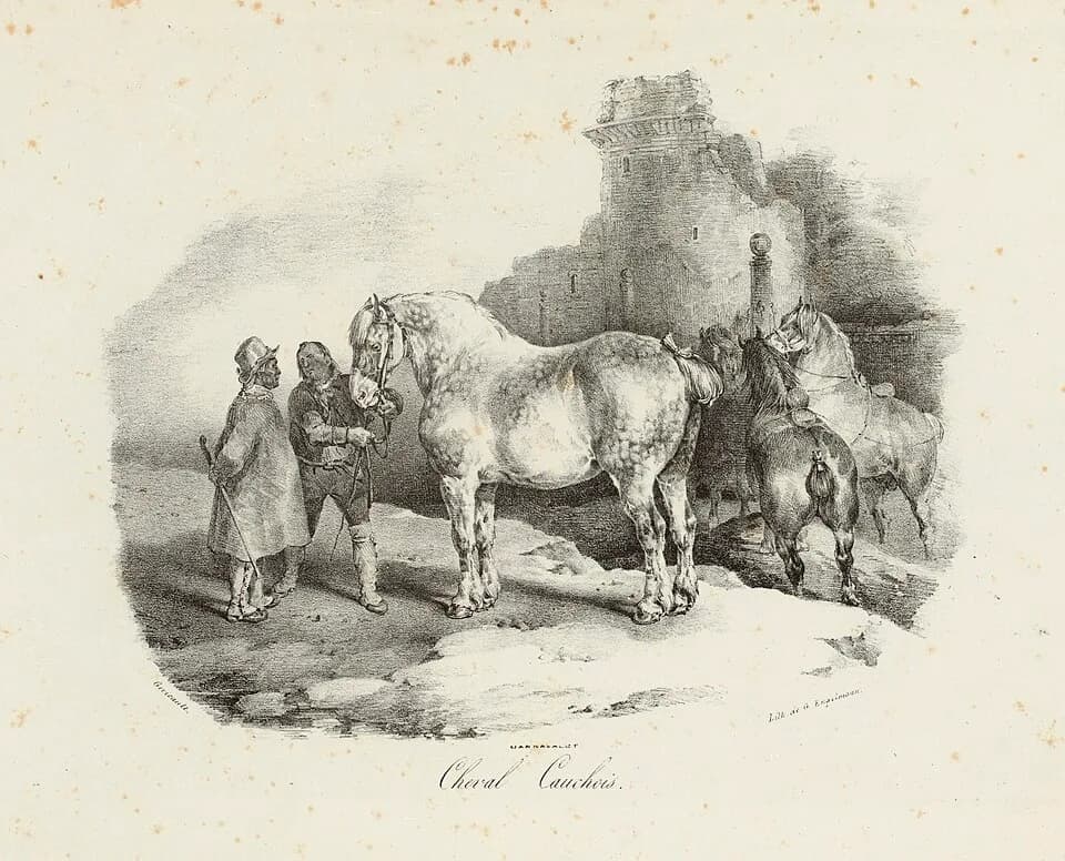 Théodore Géricault - Auteur(s):

Géricault, Théodore (Rouen, 26–09–1791 - Paris, 26–01–1824), dessinateur-lithographe
Engelmann, Godefroy (Mulhouse, 17–08–1788 - Paris, 25–04–1839), imprimeur-lithogra