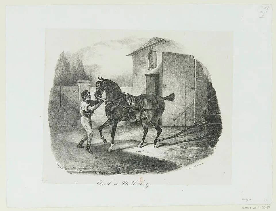 Théodore Géricault - Sujet : Chevaux de travail
Attelage (équitation)
Véhicules hippomobiles
Scènes -- 1800-1869
Référence bibliographique : Clément, 48
Référence bibliographique : Courboin, 6690
Réfé