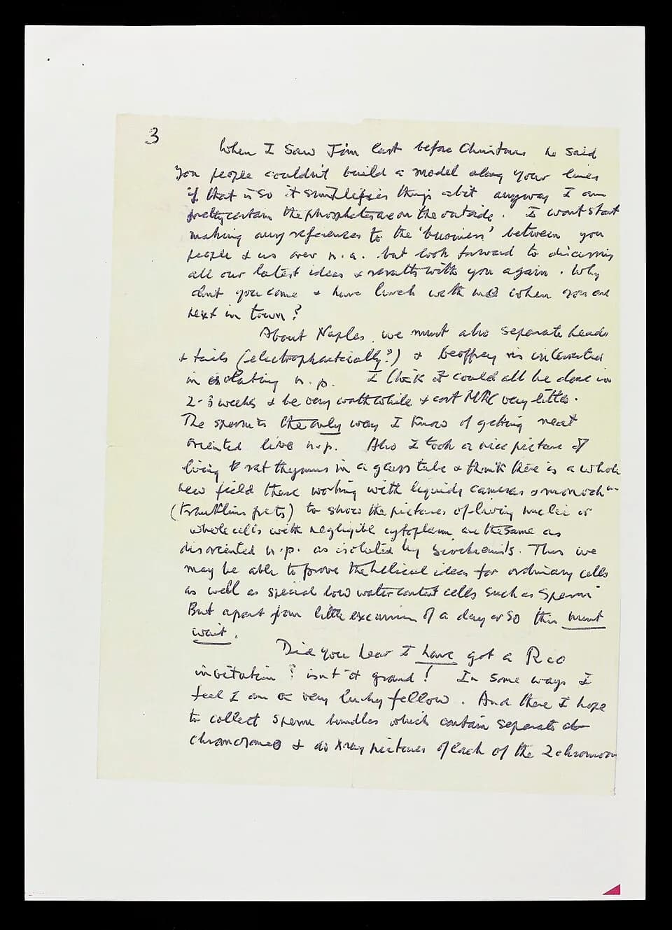 Maurice Wilkins - Page 3 of a letter from Maurice Wilkins to Francis Crick regarding his 'model building'. Wilkins was the 'third man' behind the discovery of the double-helix structure of DNA with Cr