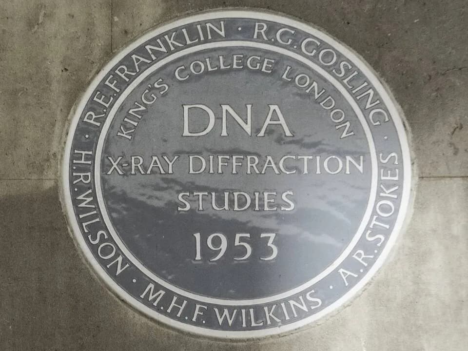 Maurice Wilkins - R. E. Franklin R. G. Gosling H. R. Wilson M. H. F. Wilkins A. R. Stoke plaque at King's College London, Strand, WC2R 2LS
