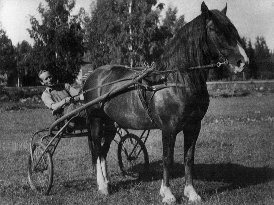 Paavo Nurmi - Eri-Aaroni, one of the most successful trotters of his time as well as a very important sire of the Finnhorse, and the Olympic winner en:Paavo Nurmi posing together.