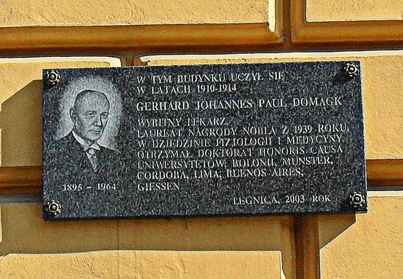 Gerhard Domagk - Legnica, I Liceum Ogólnokształcące. Uroczyste odsłonięcie marmurowej tablicy pamiątkowej poświęconej niemieckiemu nobliście Gerhardowi Johannesowi Paulowi Domagkowi odbyło się 20 paź